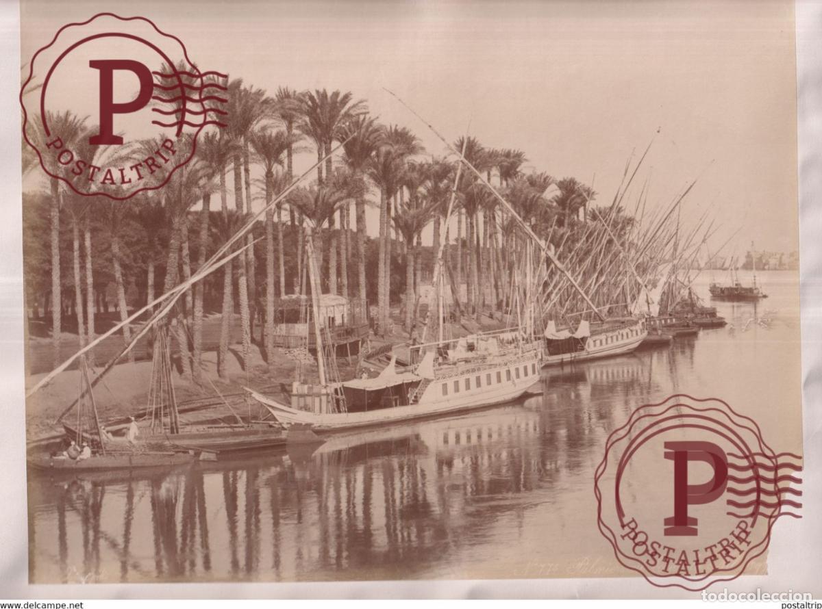 Fotograf&iacute;a antigua: PALMIERS AU BORD DE NIL SEE CORNER 28 *22 CM EGYPTE EGIPTO EGYPT vintage albumen print PHOTOGRAPHIE