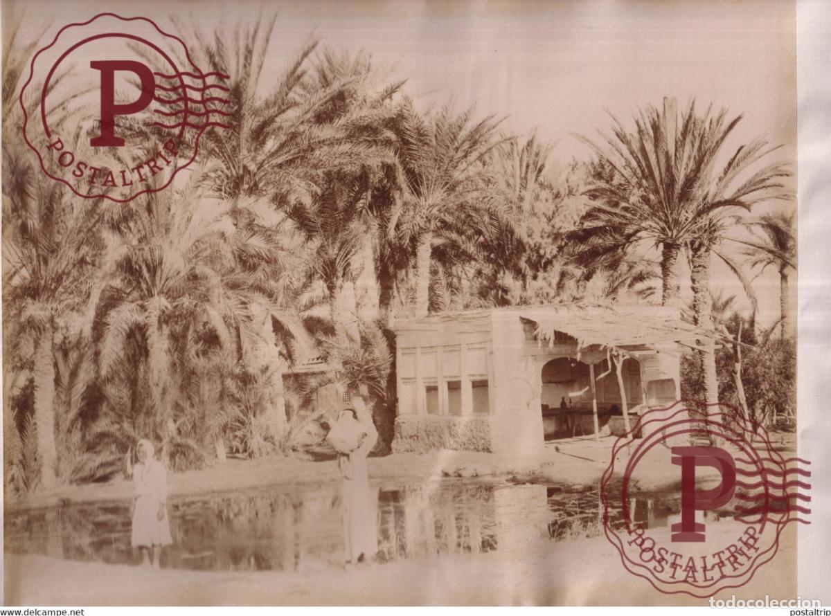 Fotograf&iacute;a antigua: 28 *22 CM EGYPTE EGIPTO EGYPT vintage albumen print PHOTOGRAPHIE