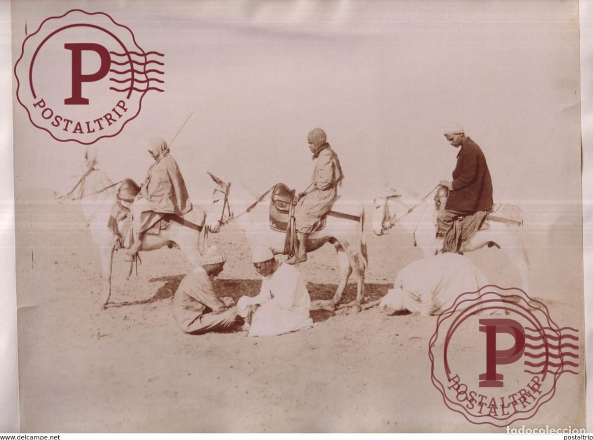 Fotograf&iacute;a antigua: 28 *22 CM EGYPTE EGIPTO EGYPT vintage albumen print PHOTOGRAPHIE