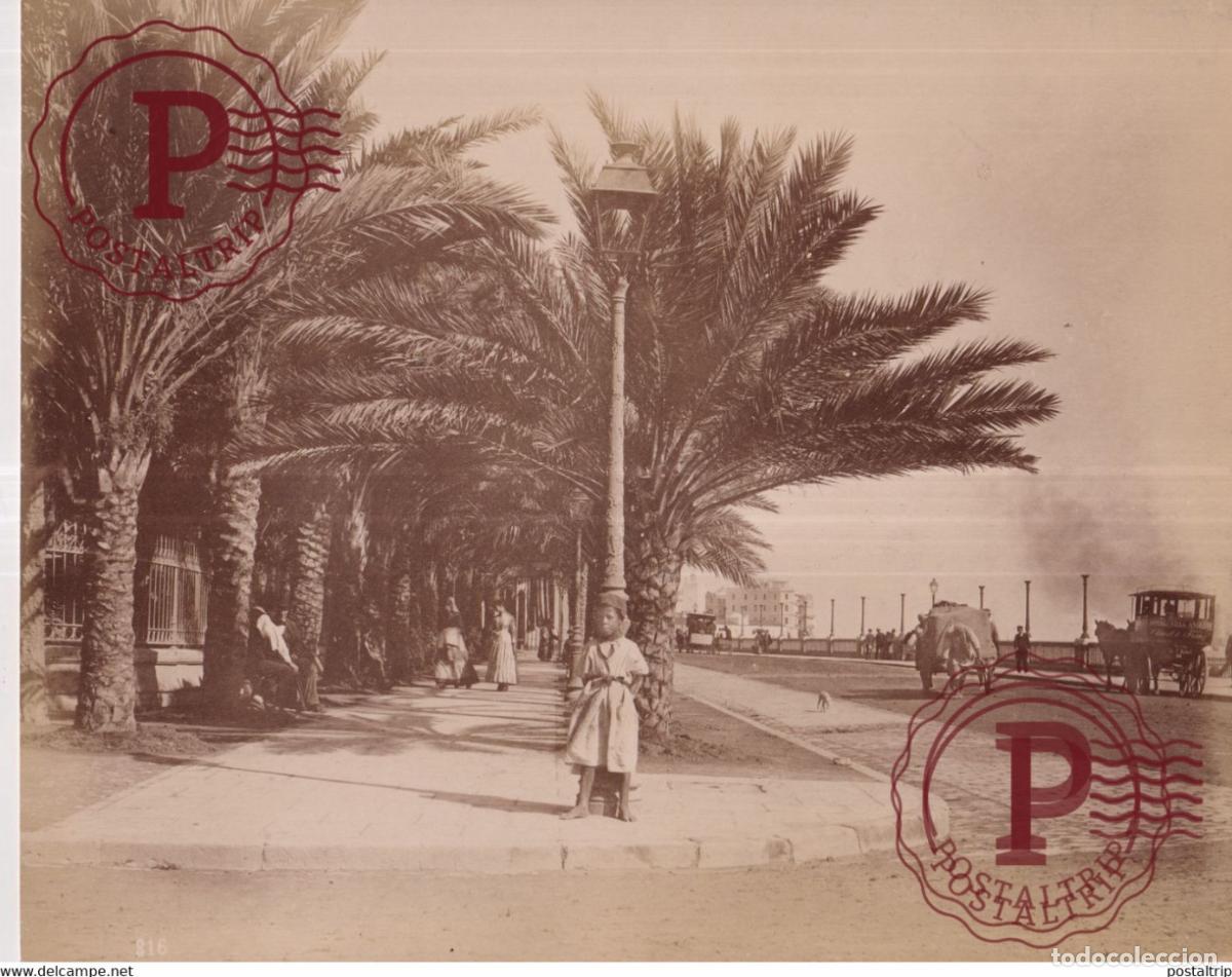 Fotografia antiga: ARGELIA 26 X 20 CM ALGERIA ALGERIE AFRIQUE PHOTOGRAPHIE AFRICA FOTOGRAFIA ANTIGUA