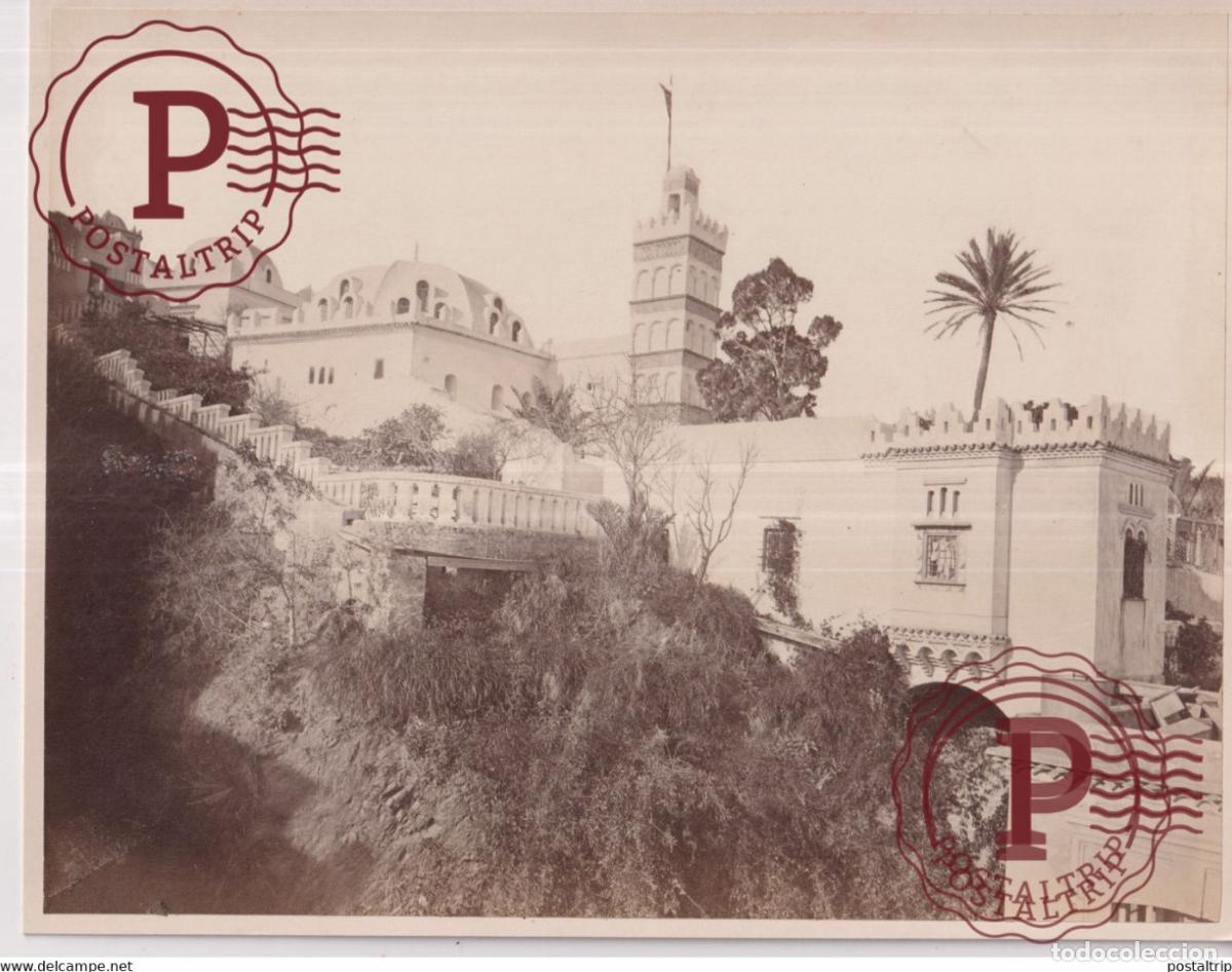 Fotografia antiga: ARGELIA ALGER 26 X 20 CM ALGERIA ALGERIE AFRIQUE PHOTOGRAPHIE AFRICA FOTOGRAFIA ANTIGUA