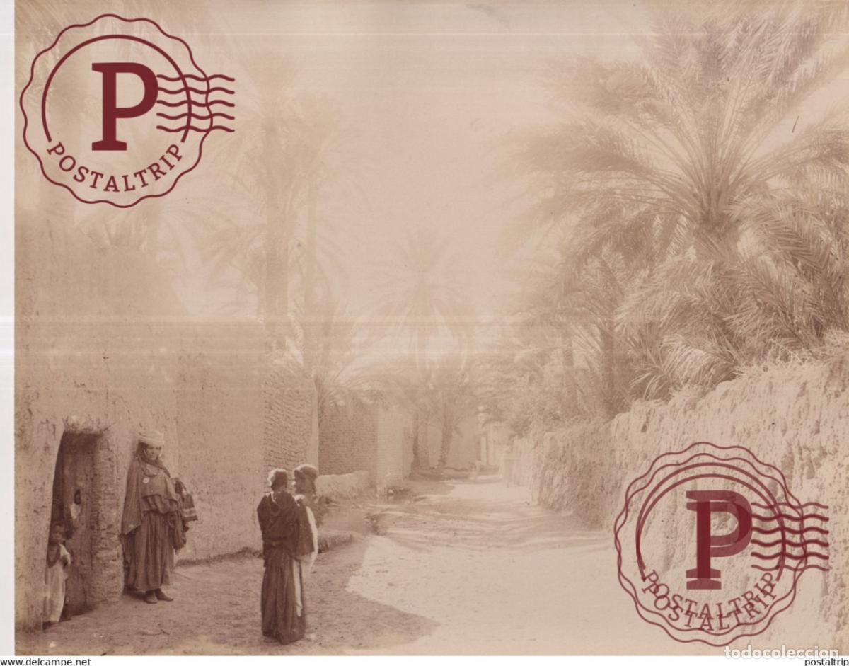 Fotografia antiga: ARGELIA ALGERIA ALGERIE 26 X 21 CM AFRIQUE PHOTOGRAPHIE AFRICA FOTOGRAFIA ANTIGUA