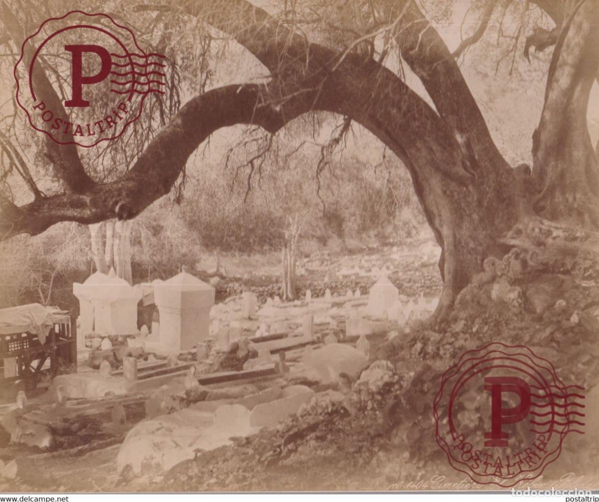Fotografia antiga: ARGELIA CEMENTERIO CIMETIERE EL KEBIR BLIDA 26 X 21 CM ALGERIA ALGERIE