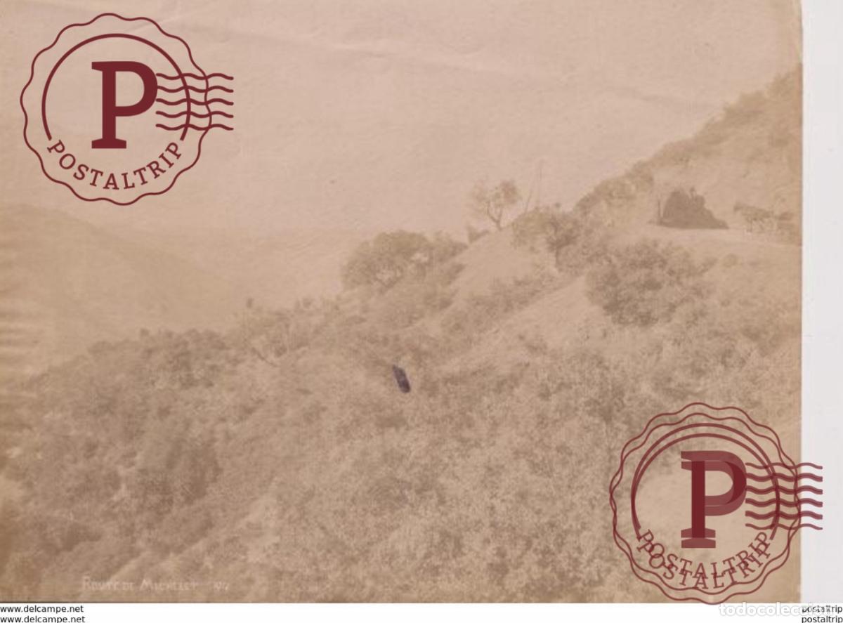 Fotograf&iacute;a antigua: 28*22CM ALGERIE ROUTE DE MICHELET 1918 PHOTOGRAPHIE