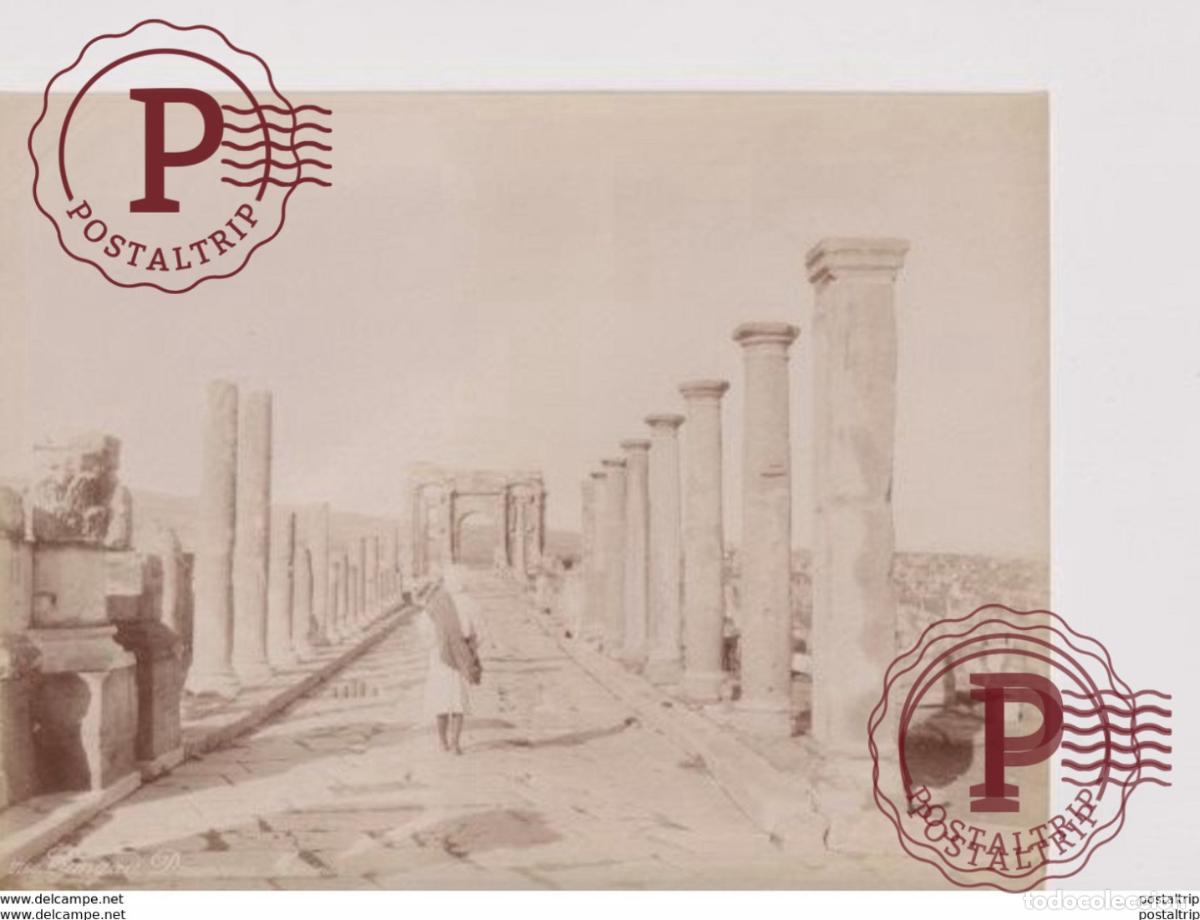 Fotograf&iacute;a antigua: 25 *19CM Alg&eacute;rie Timgad Ruines Romaines Decumanus Maximus Tirage albumin&eacute; Ancienne PHOTOGRAPHIE