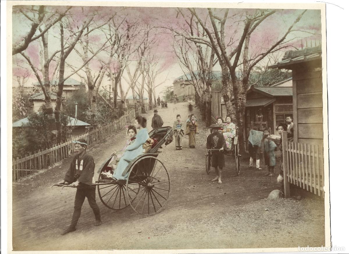 Fotograf&iacute;a antigua: 1880ca Fotograf&iacute;a alb&uacute;mina Jap&oacute;n iluminada Paseo en Jinrikisha bajo los Cerezos en Flor Geishas