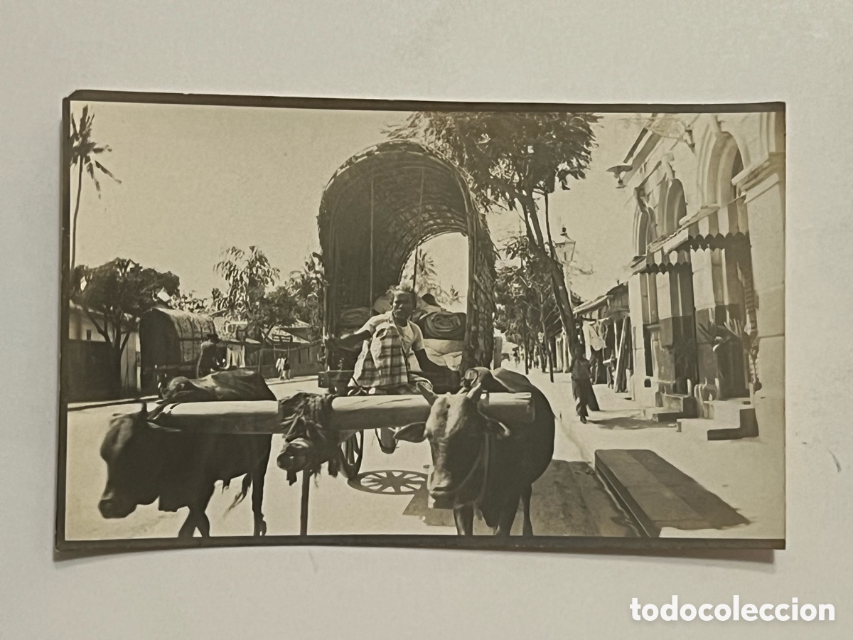 Fotograf&iacute;a antigua: CEIL&Aacute;N.. Colombo Ceylon, Antigua Sri Lanka&hellip; CARRO DE BUEYES.. Fotograf&iacute;a antigua (h.1900?)