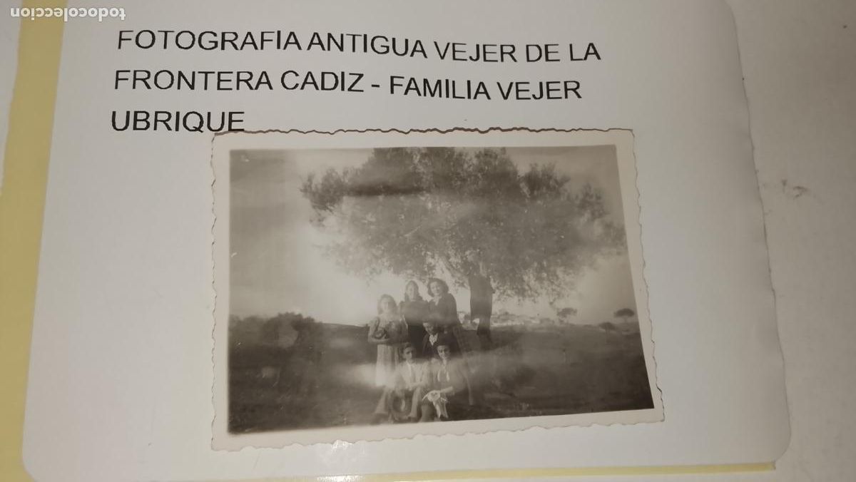Fotograf&iacute;a antigua: FOTOGRAFIA ANTIGUA VEJER DE LA FRONTERA CADIZ - FAMILIA VEJER UBRIQUE - BAJO EL OLIVO