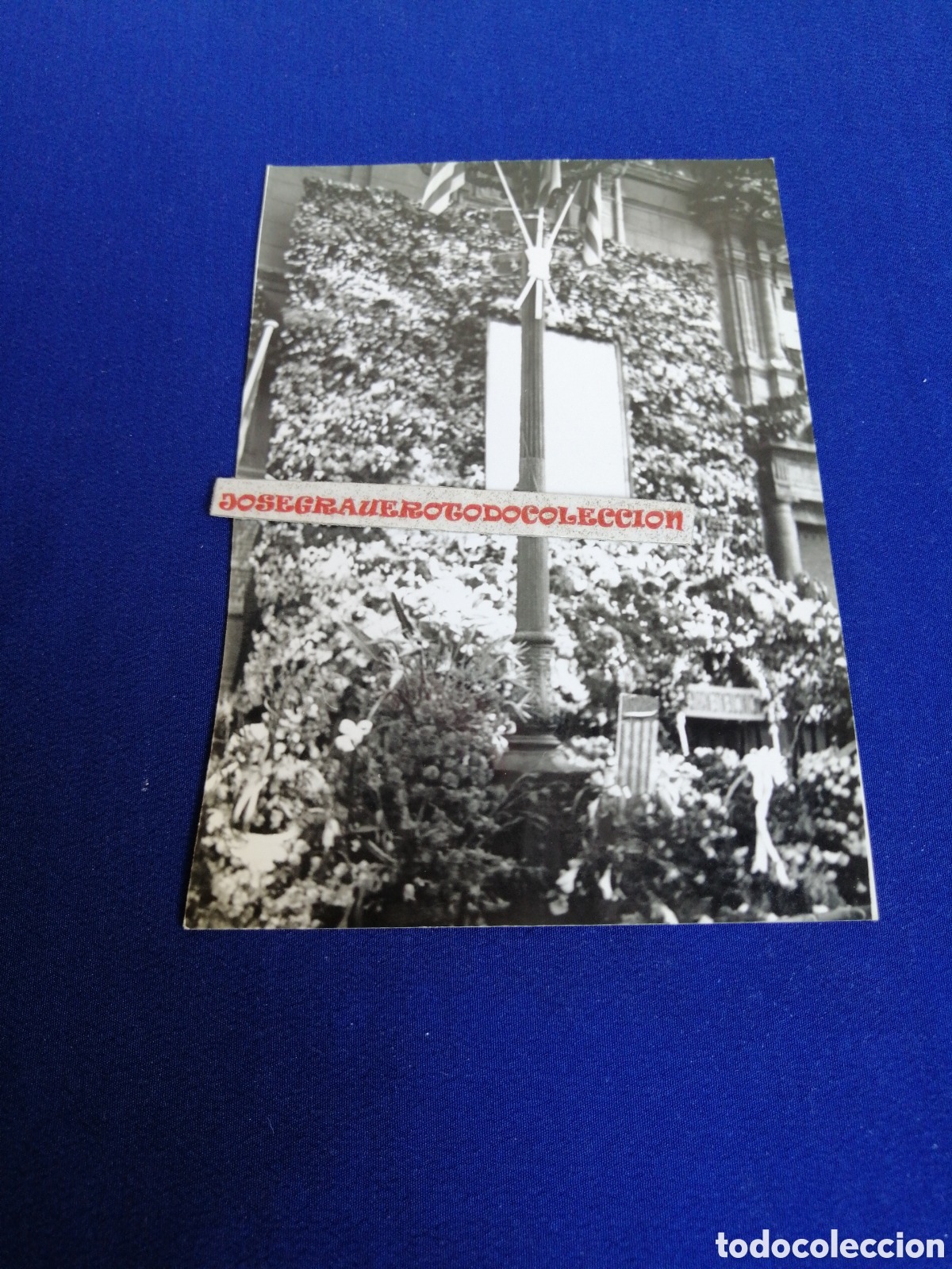 Alte Fotografie: VALENCIA TAPIZ FLORAR VIRGEN DESAMPARADOS A&Ntilde;O 1968 FOTOGRAF&Iacute;A ANTIGUA SIGLO PASADO
