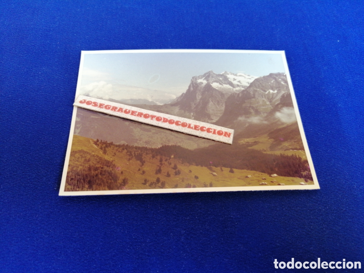 Fotograf&iacute;a antigua: SUIZA MONTA&Ntilde;A FOTOGRAF&Iacute;A ANTIGUA SIGLO PASADO