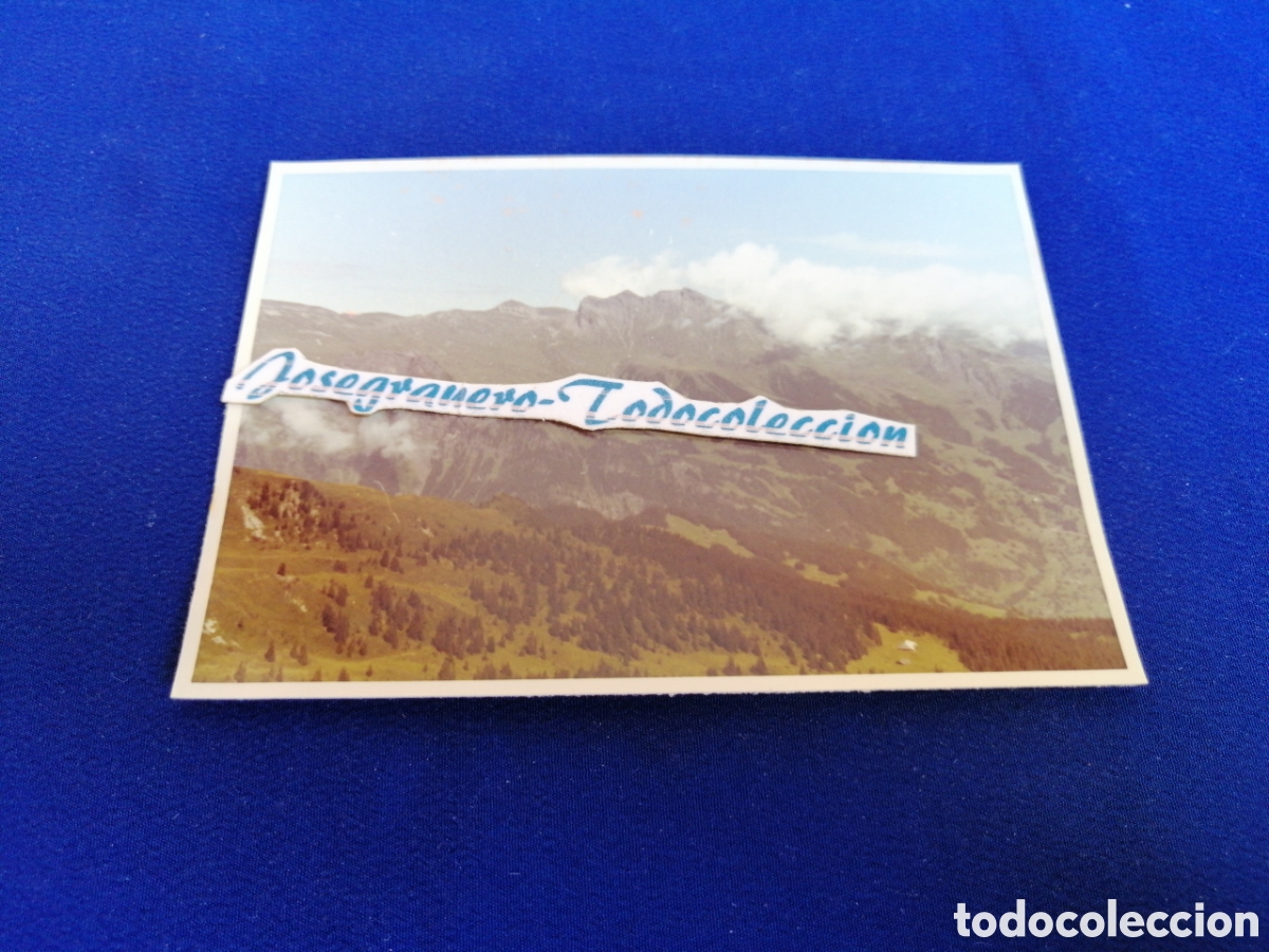 Fotograf&iacute;a antigua: SUIZA MONTA&Ntilde;A FOTOGRAF&Iacute;A ANTIGUA SIGLO PASADO