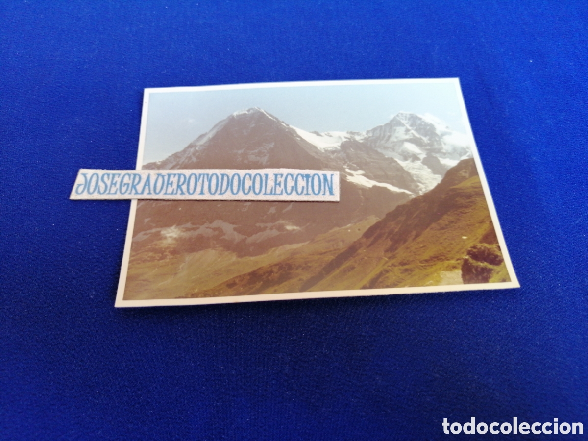 Fotograf&iacute;a antigua: SUIZA MONTA&Ntilde;A FOTOGRAF&Iacute;A ANTIGUA SIGLO PASADO