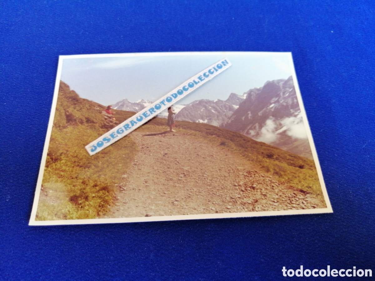 Fotograf&iacute;a antigua: SUIZA MONTA&Ntilde;A FOTOGRAF&Iacute;A ANTIGUA SIGLO PASADO