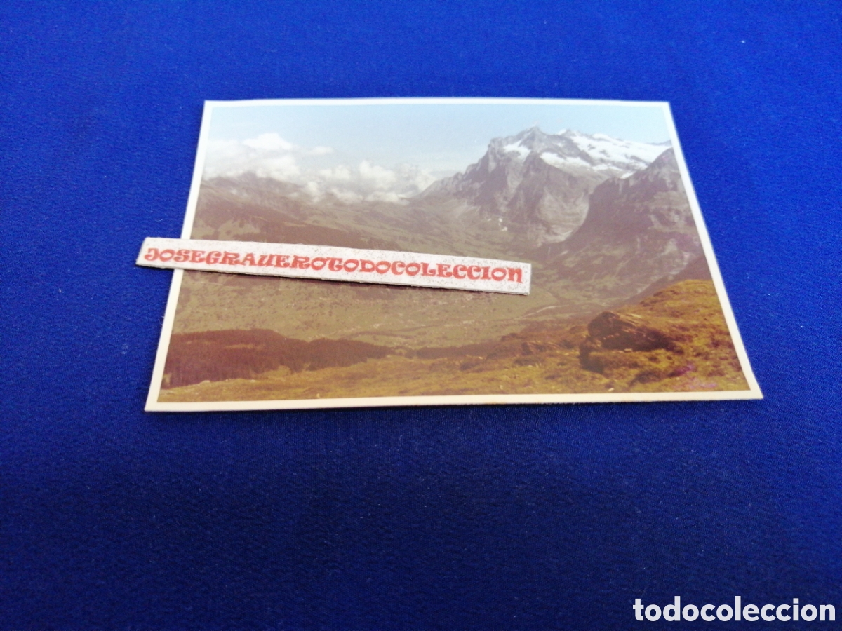 Fotograf&iacute;a antigua: SUIZA MONTA&Ntilde;A FOTOGRAF&Iacute;A ANTIGUA SIGLO PASADO