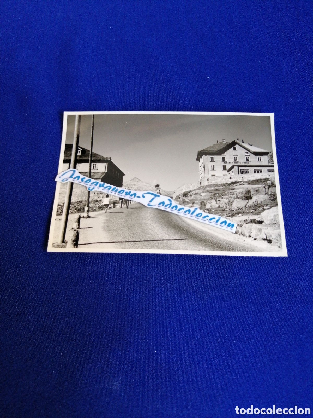 Fotograf&iacute;a antigua: SUIZA FOTOGRAF&Iacute;A ANTIGUA SIGLO PASADO