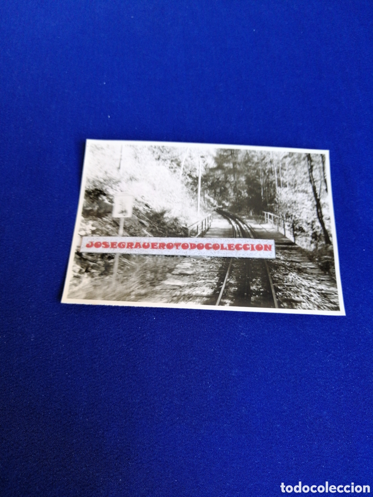 Fotograf&iacute;a antigua: SUIZA - MONTE GENEROSO FERROCARRIL FOTOGRAF&Iacute;A ANTIGUA SIGLO PASADO