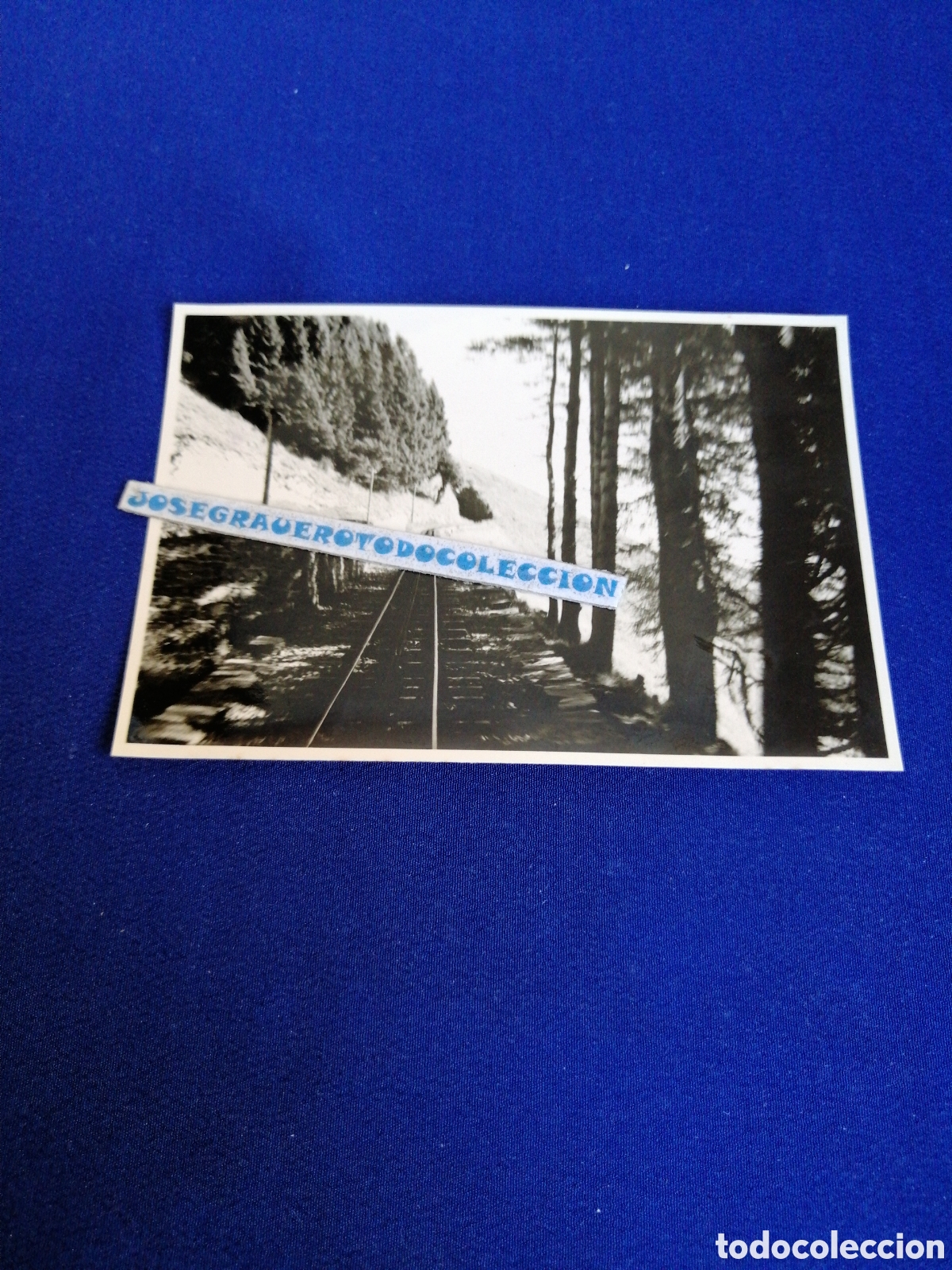 Fotograf&iacute;a antigua: SUIZA - MONTE GENEROSO FERROCARRIL FOTOGRAF&Iacute;A ANTIGUA SIGLO PASADO