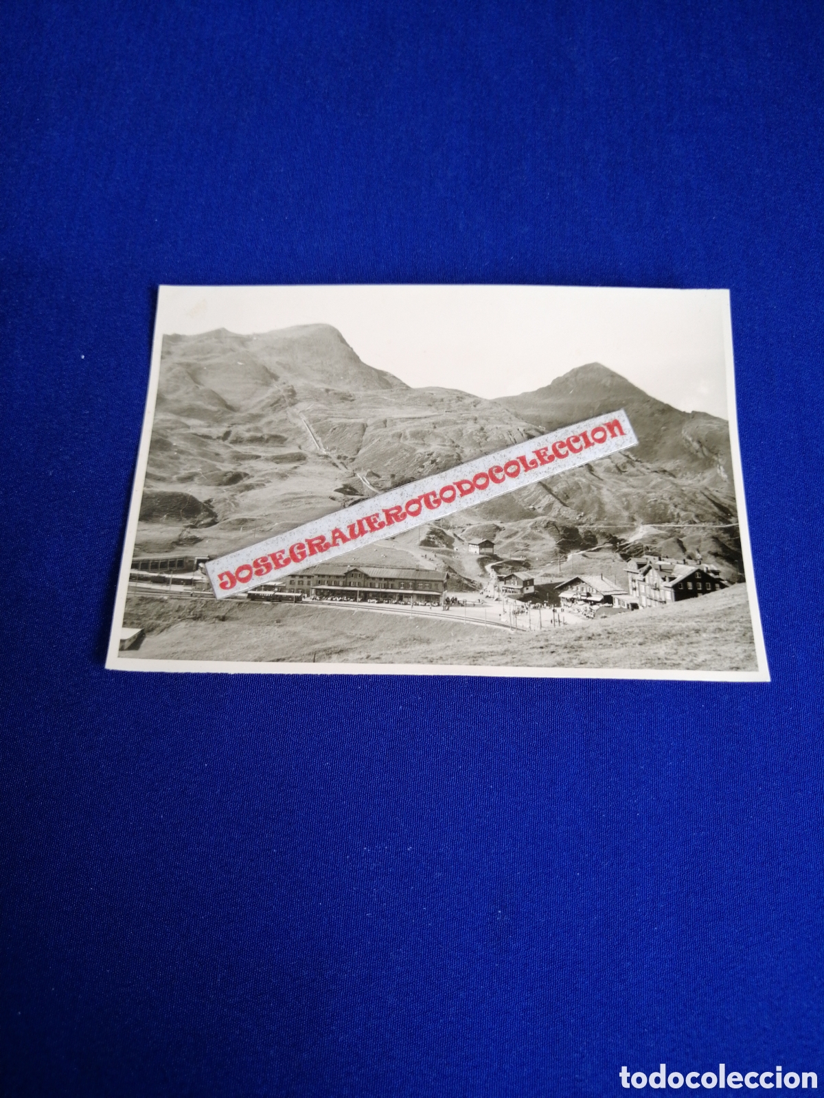 Fotograf&iacute;a antigua: SUIZA (KLEINE SCHEIDEGG) PUERTO MONTA&Ntilde;A LOS ALPES FOTOGRAF&Iacute;A ANTIGUA SIGLO PASADO