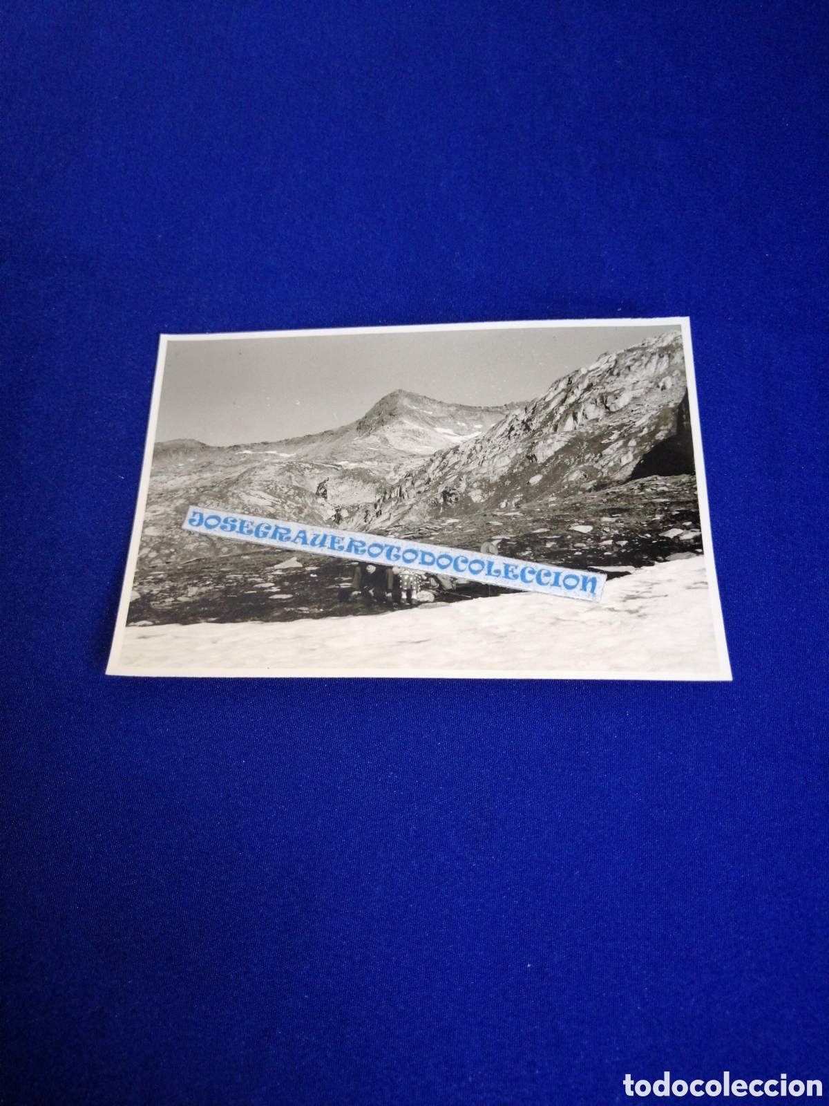 Fotograf&iacute;a antigua: SUIZA ALPES RUCKBLICK ALPINISMO FOTOGRAF&Iacute;A ANTIGUA SIGLO PASADO