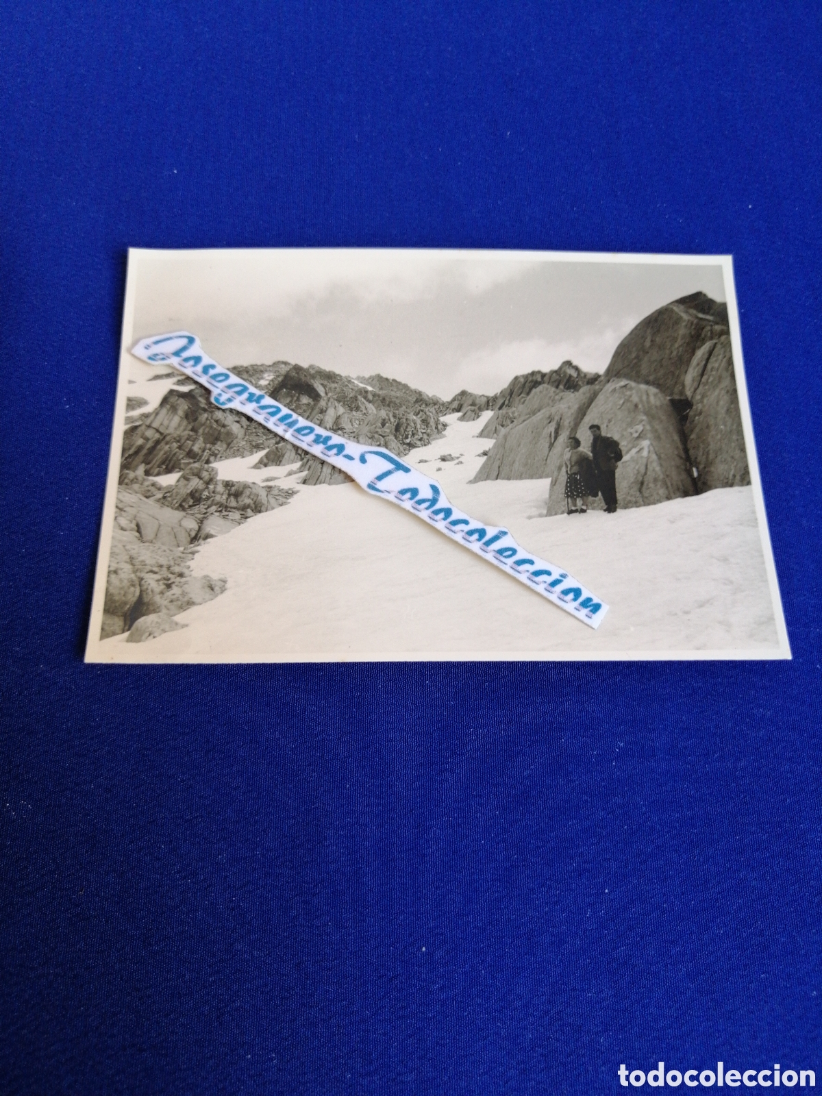 Fotograf&iacute;a antigua: SUIZA ALPES ALPINISTAS FOTOGRAF&Iacute;A ANTIGUA SIGLO PASADO