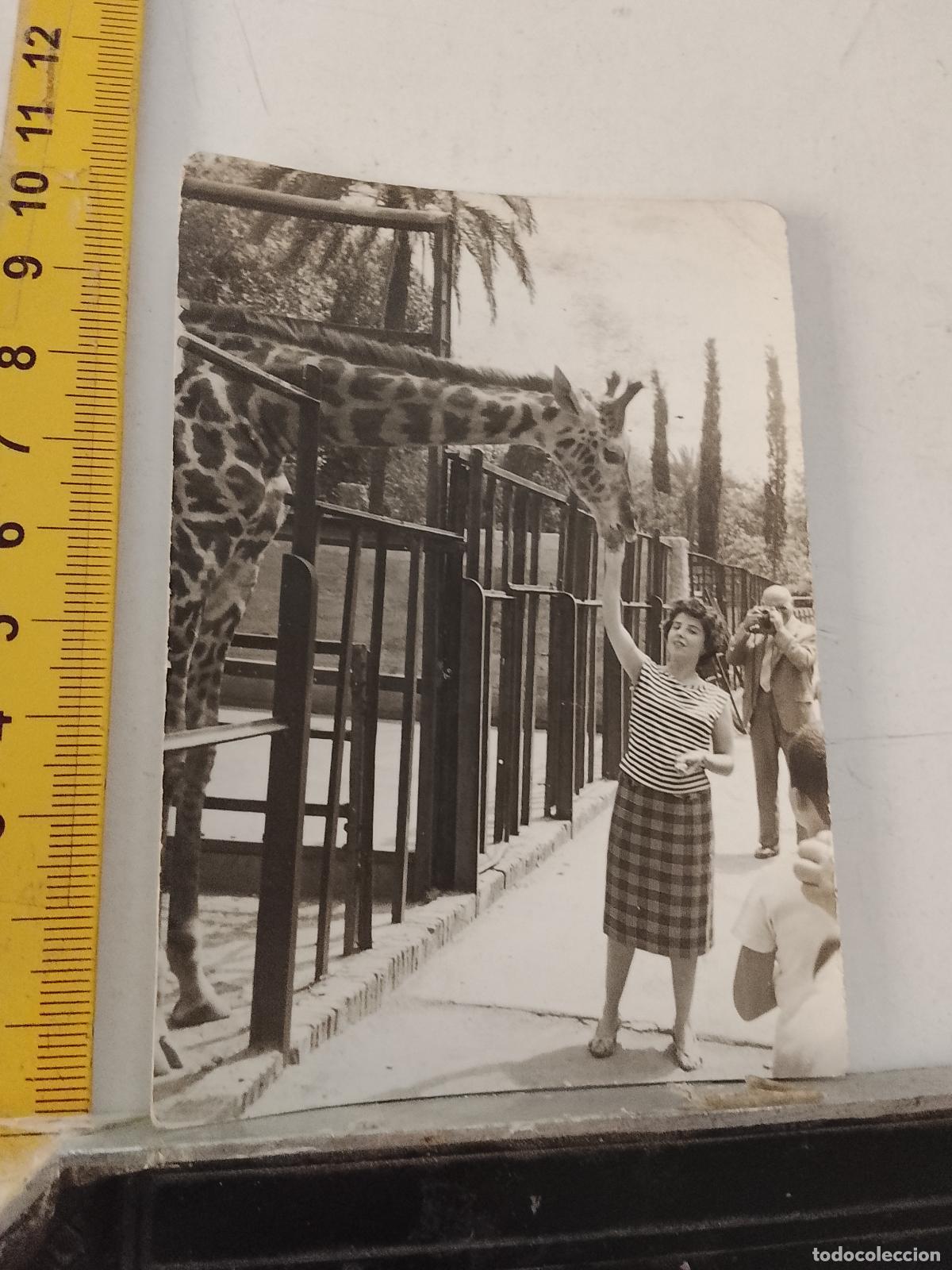 Fotograf&iacute;a antigua: FOTOGRAFIA ANTIGUA FAMILIA VEJER - UBRIQUE - CADIZ - viaje al zoo de barcelona