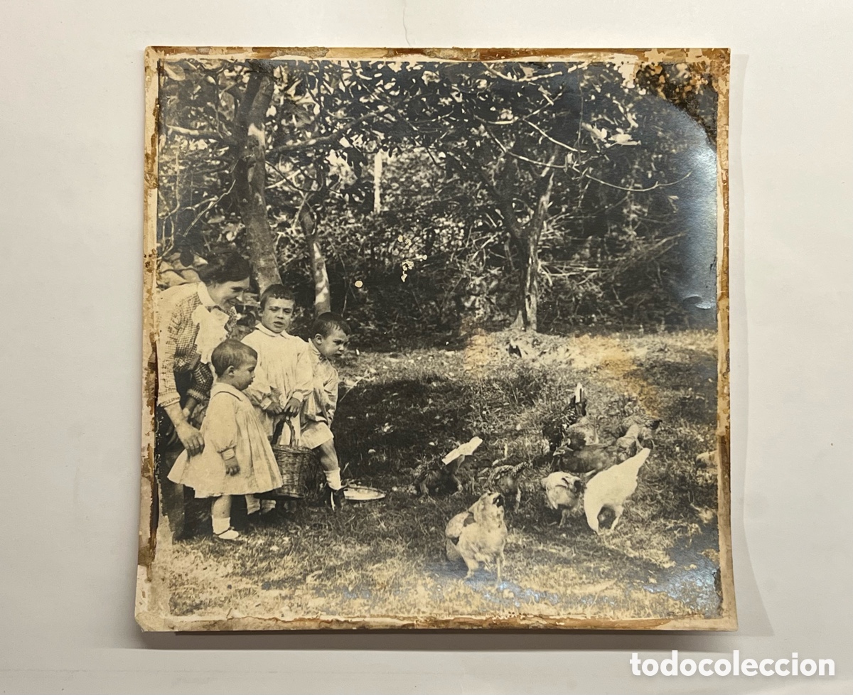 Alte Fotografie: VITORIA.. Aquellos Veranos en la casa de los abuelos.. En el huerto con las gallinas (fin Siglo XIX)