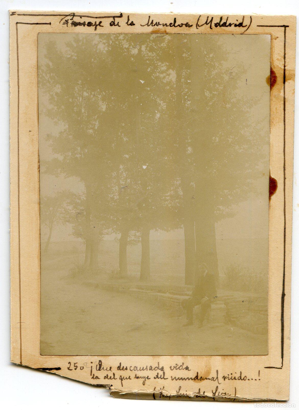 Fotografia antiga: Madrid. Paisaje de la Moncloa, circa 1906 Que descansada vida la del que huye del mundanal ruido