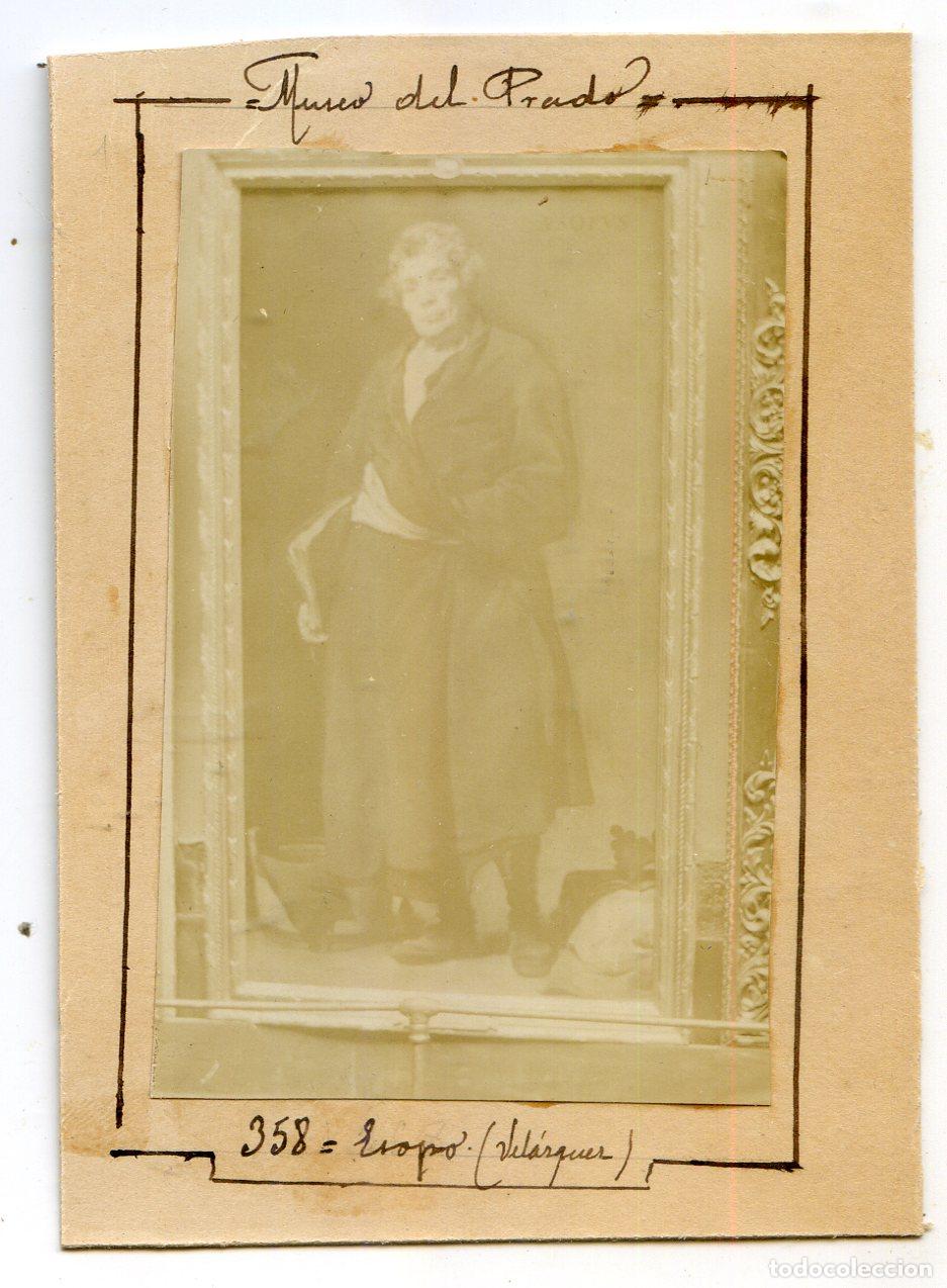 Alte Fotografie: Madrid. Museo del Prado. Esopo, Vel&aacute;zquez, circa 1906