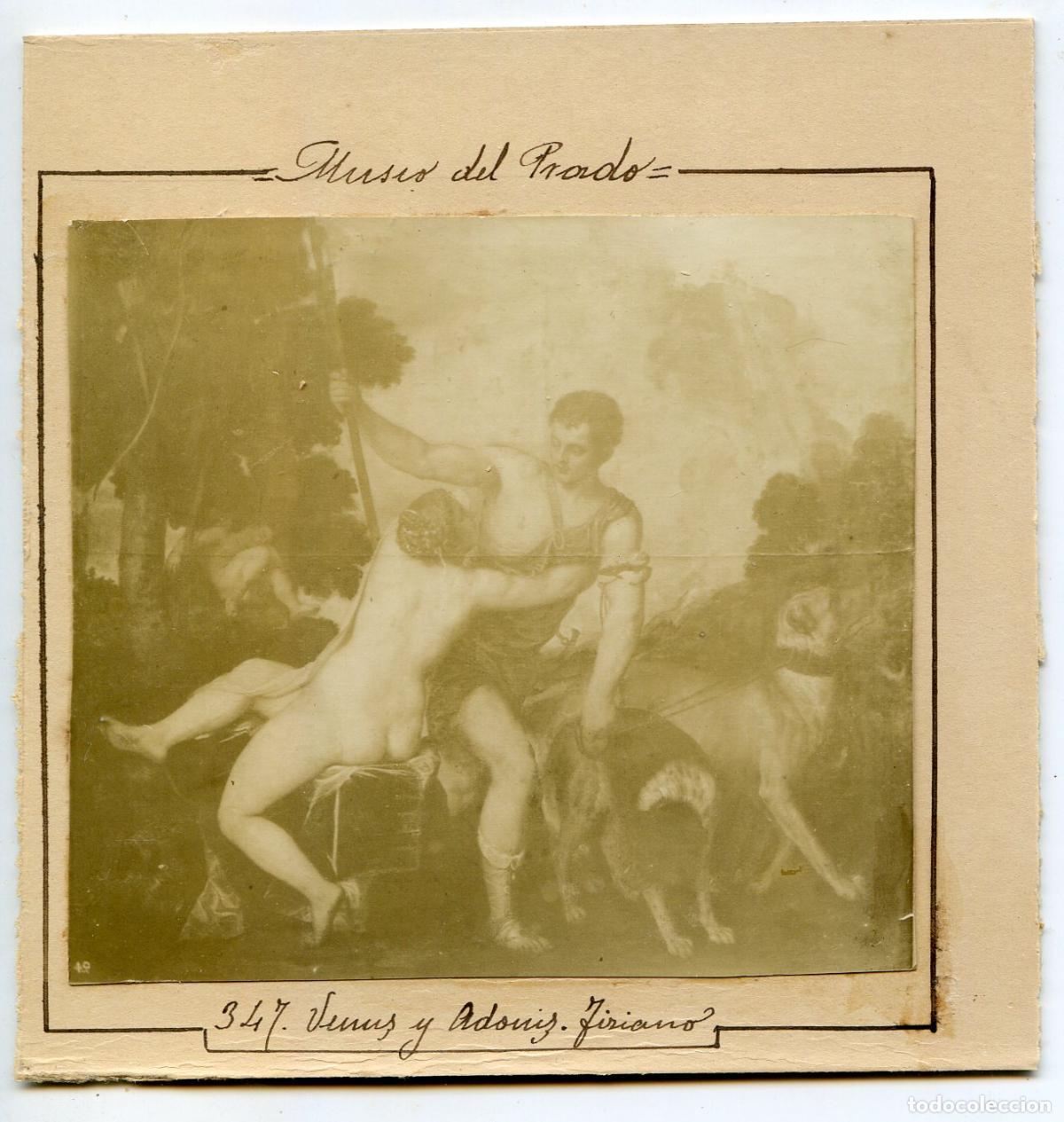Antique Photography: Madrid. Museo del Prado. Venus y Adonis de Tiziano y al reverso Diario El Liberal y la vendedora