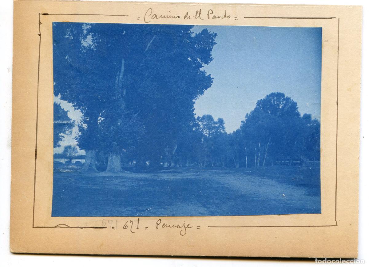 Fotograf&iacute;a antigua: Madrid. Camino de El Pardo. Paisaje. circa 1906, cianotipo