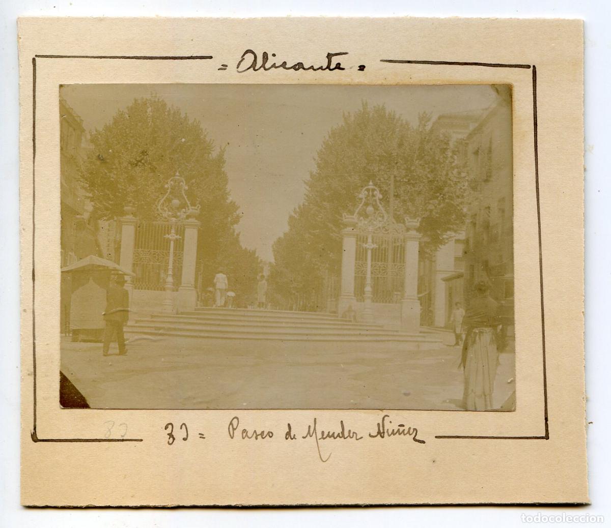 Alte Fotografie: Alicante, Paseo de M&eacute;ndez N&uacute;&ntilde;ez, circa 1906