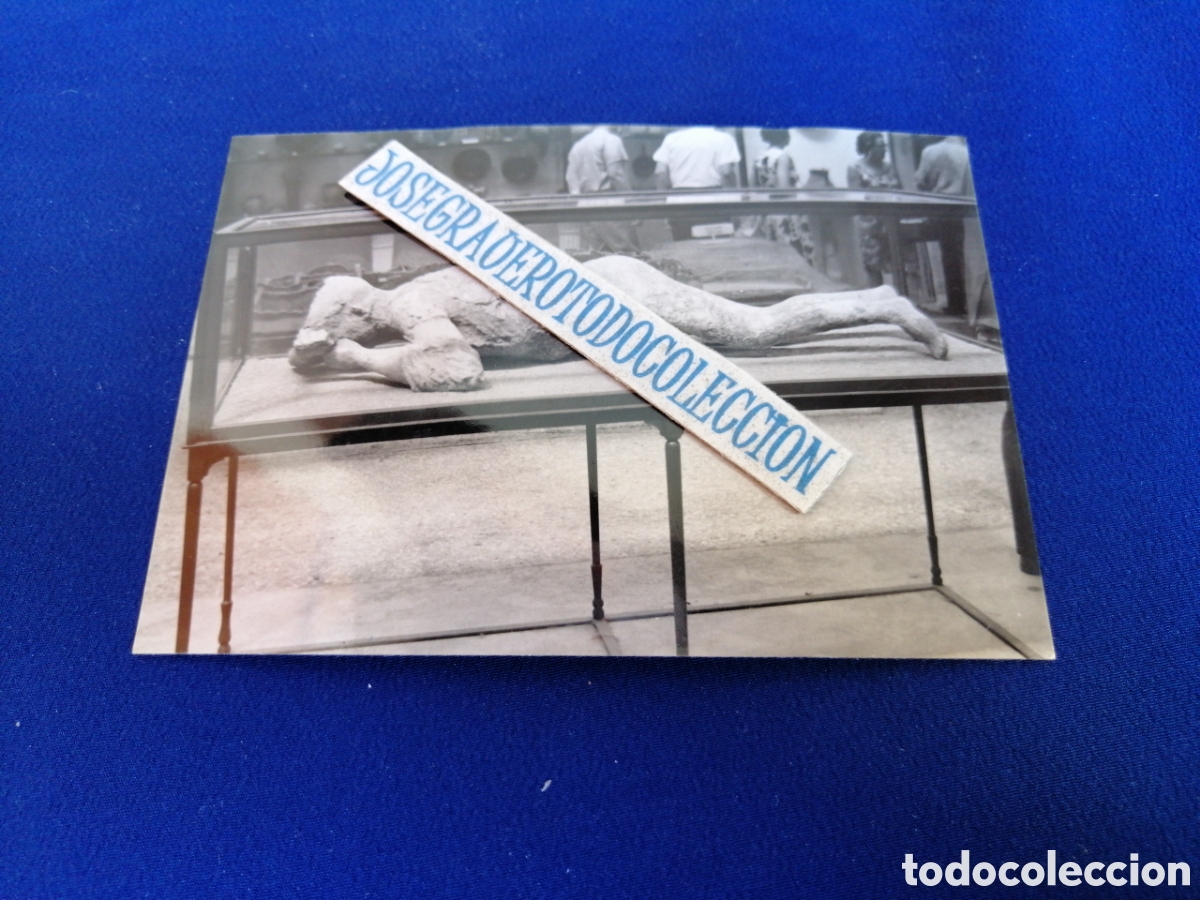 Fotograf&iacute;a antigua: NAPOLES - MUSEO FOTOGRAF&Iacute;A ANTIGUA SIGLO PASADO