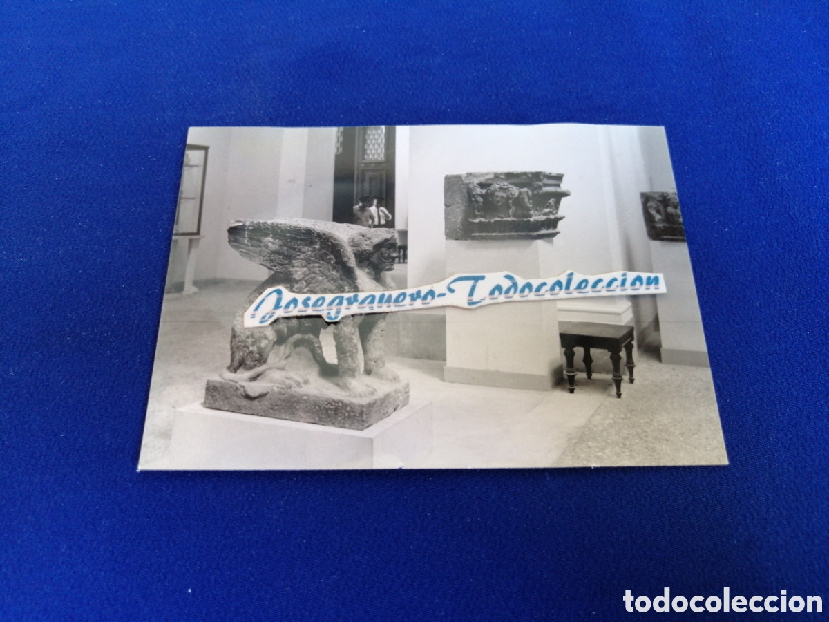 Fotograf&iacute;a antigua: NAPOLES - MUSEO FOTOGRAF&Iacute;A ANTIGUA SIGLO PASADO