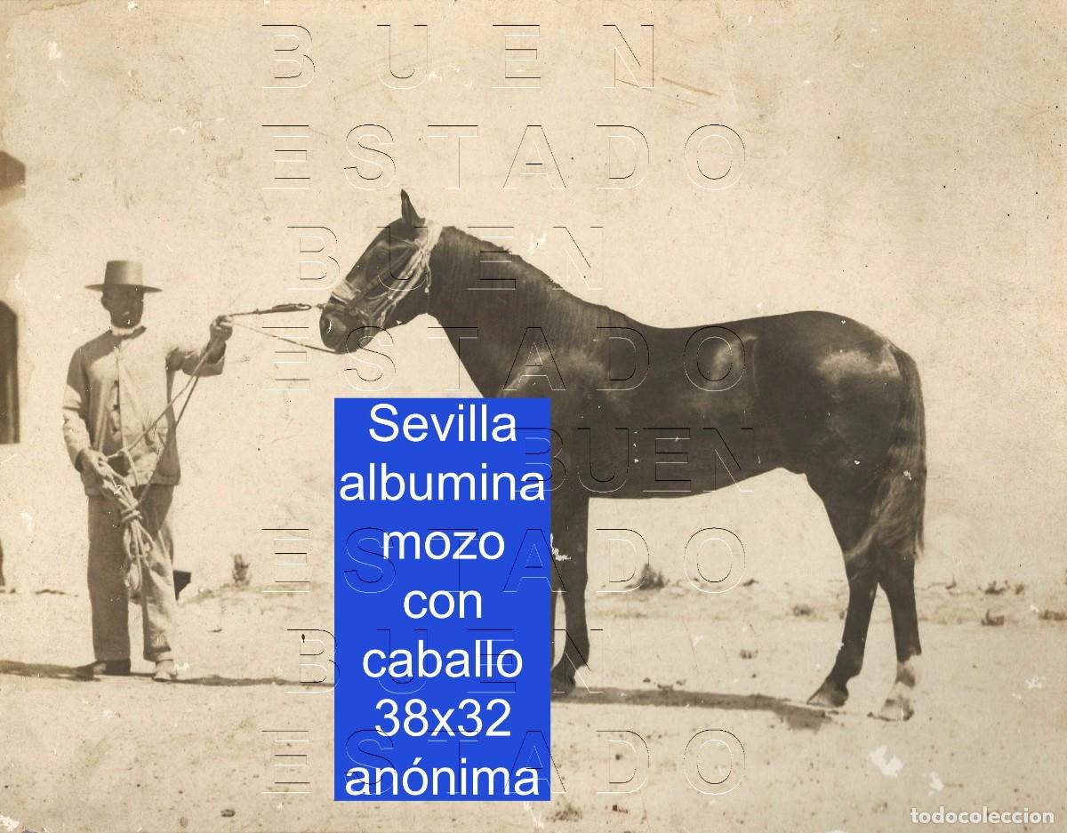 Fotograf&iacute;a antigua: SEVILLA ALBUMINA MOZO CON CABALLO PERTENECIO A MANUEL CLAVERO AREVALO MINISTRO C35