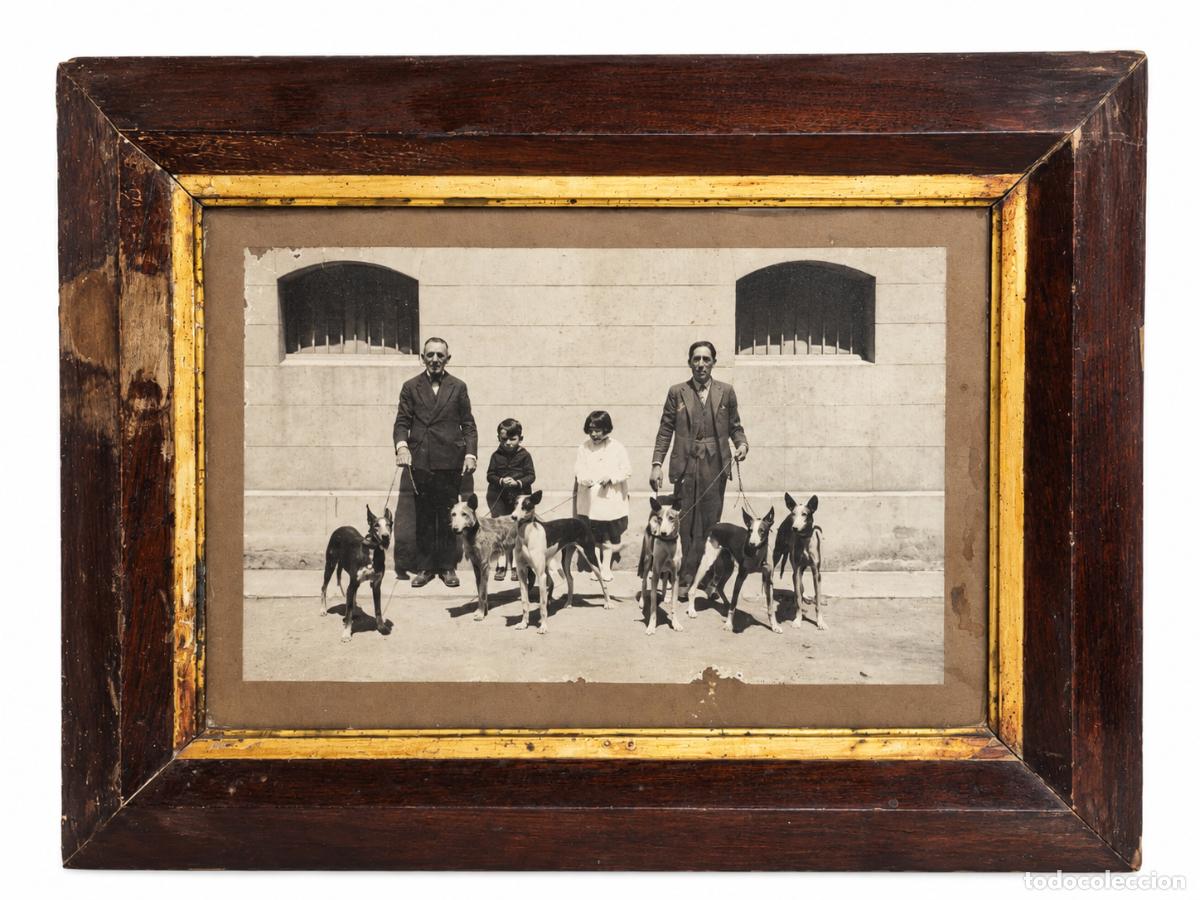 Fotograf&iacute;a antigua: Antigua Fotograf&iacute;a con Perros de Caza - Marco de &Eacute;poca