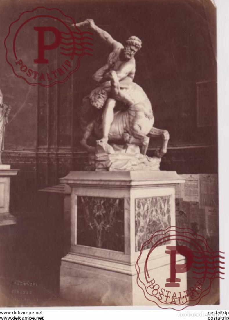 Fotograf&iacute;a antigua: V PAGANORI FIRENZE ITALY ITALIA PHOTOGRAPHIE 25*19CM
