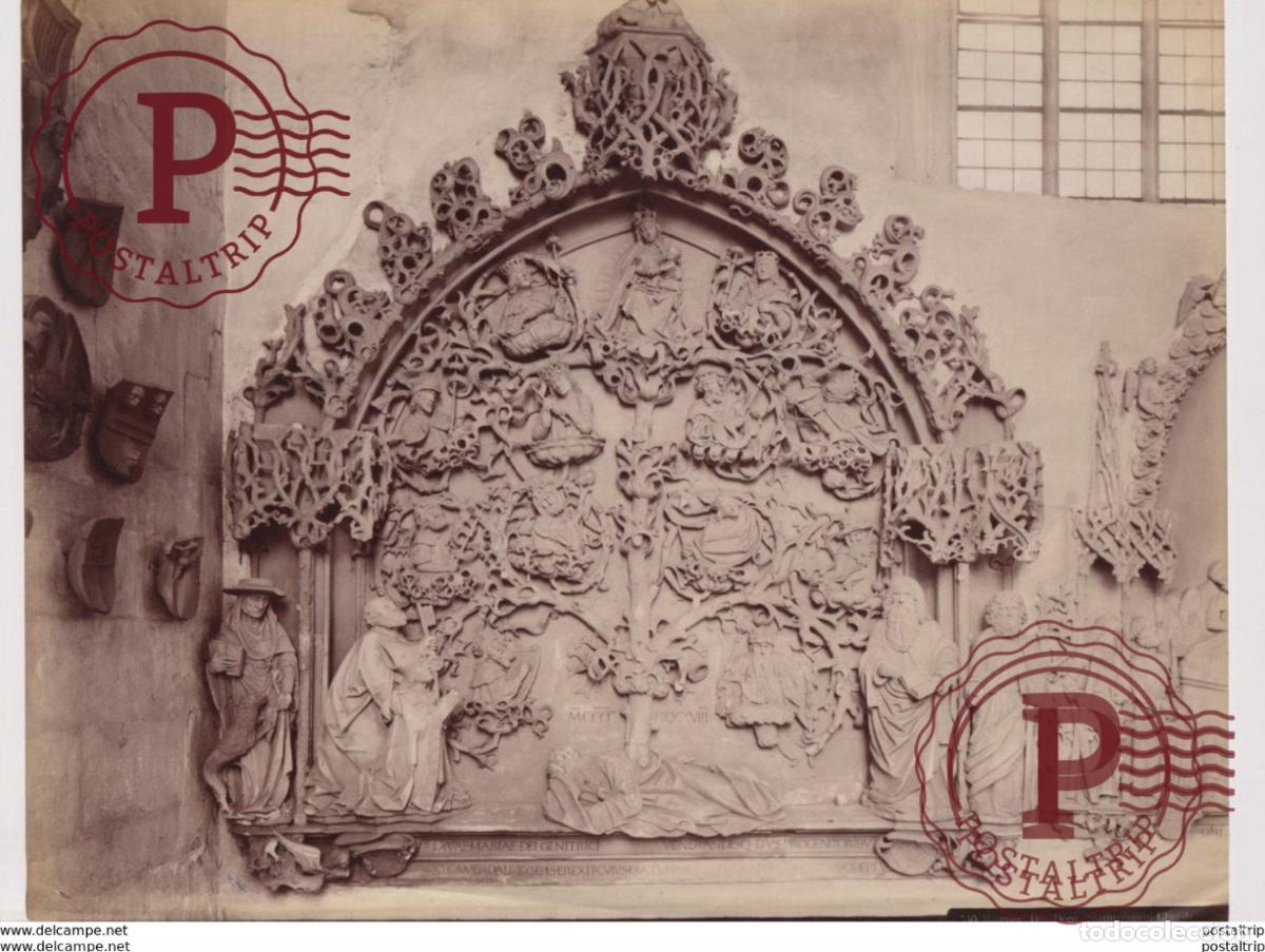 Fotograf&iacute;a antigua: WORMS DER DOM CHRIST STAMMBAUM Renania-Palatinado 27*21CM PHOTOGRAPHIE