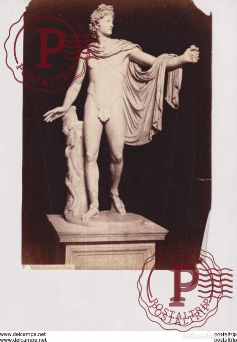 Fotograf&iacute;a antigua: APOLLO VATICANO ROMA ITALIA 24*18CM PHOTOGRAPHIE