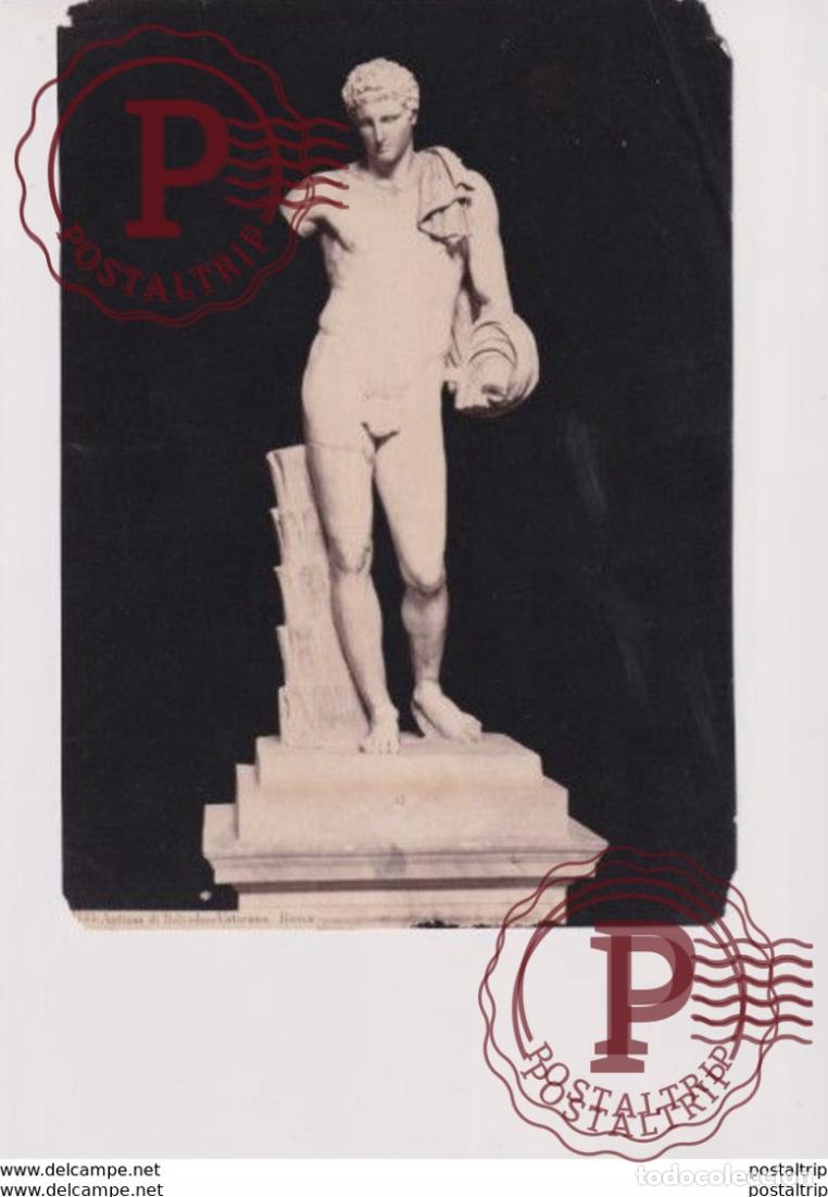 Fotograf&iacute;a antigua: antinoo di belvedere vaticano roma italy 23*17CM PHOTOGRAPHIE