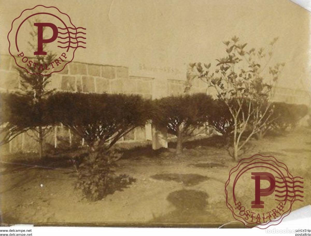 Photographie ancienne: 17*12CM PHOTOGRAPHIE