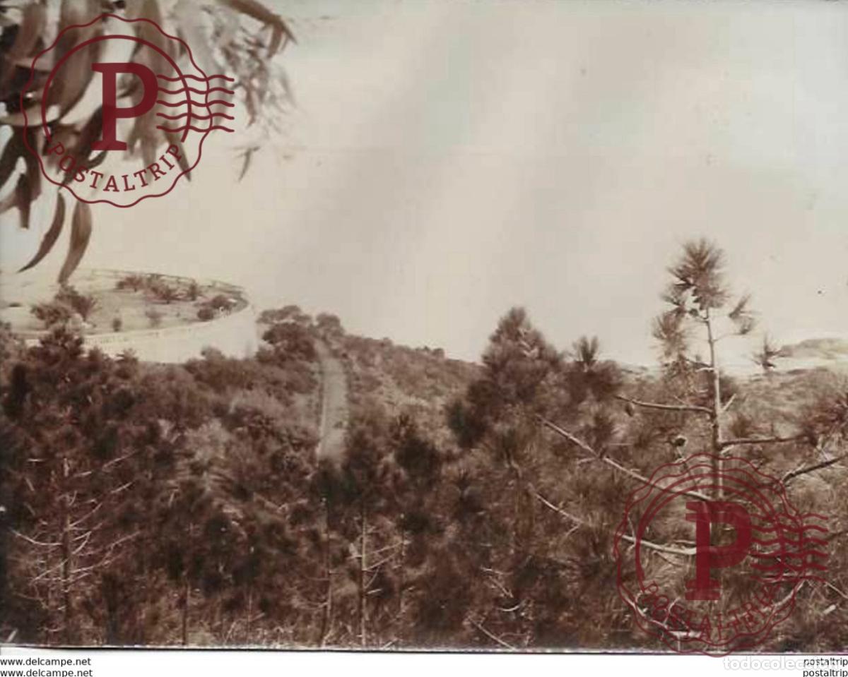 Fotograf&iacute;a antigua: 22*17CM PHOTOGRAPHIE