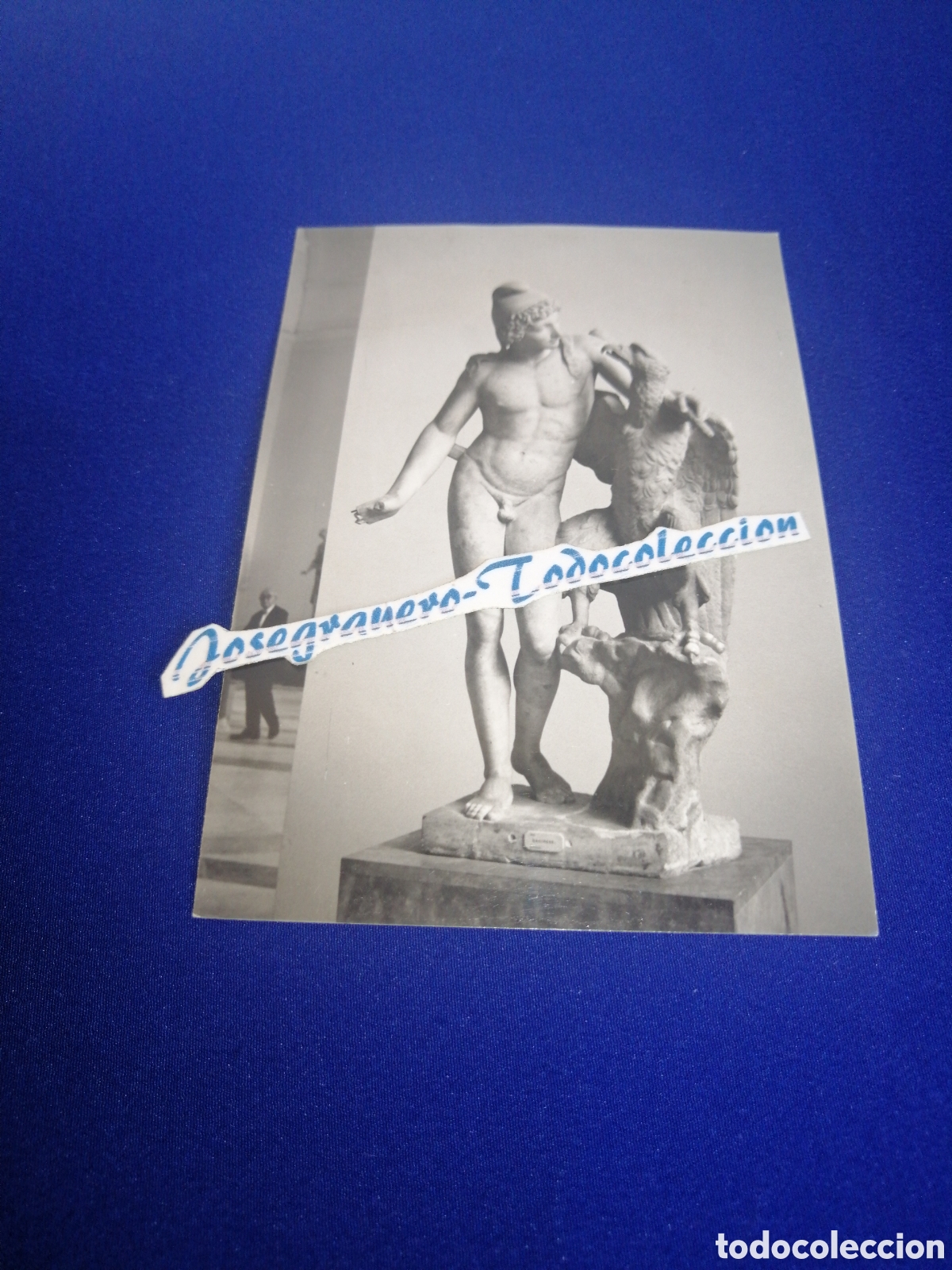 Fotograf&iacute;a antigua: NAPOLES (ITALIA) MUSEO ARQUEOL&Oacute;GICO FOTOGRAF&Iacute;A ANTIGUA SIGLO