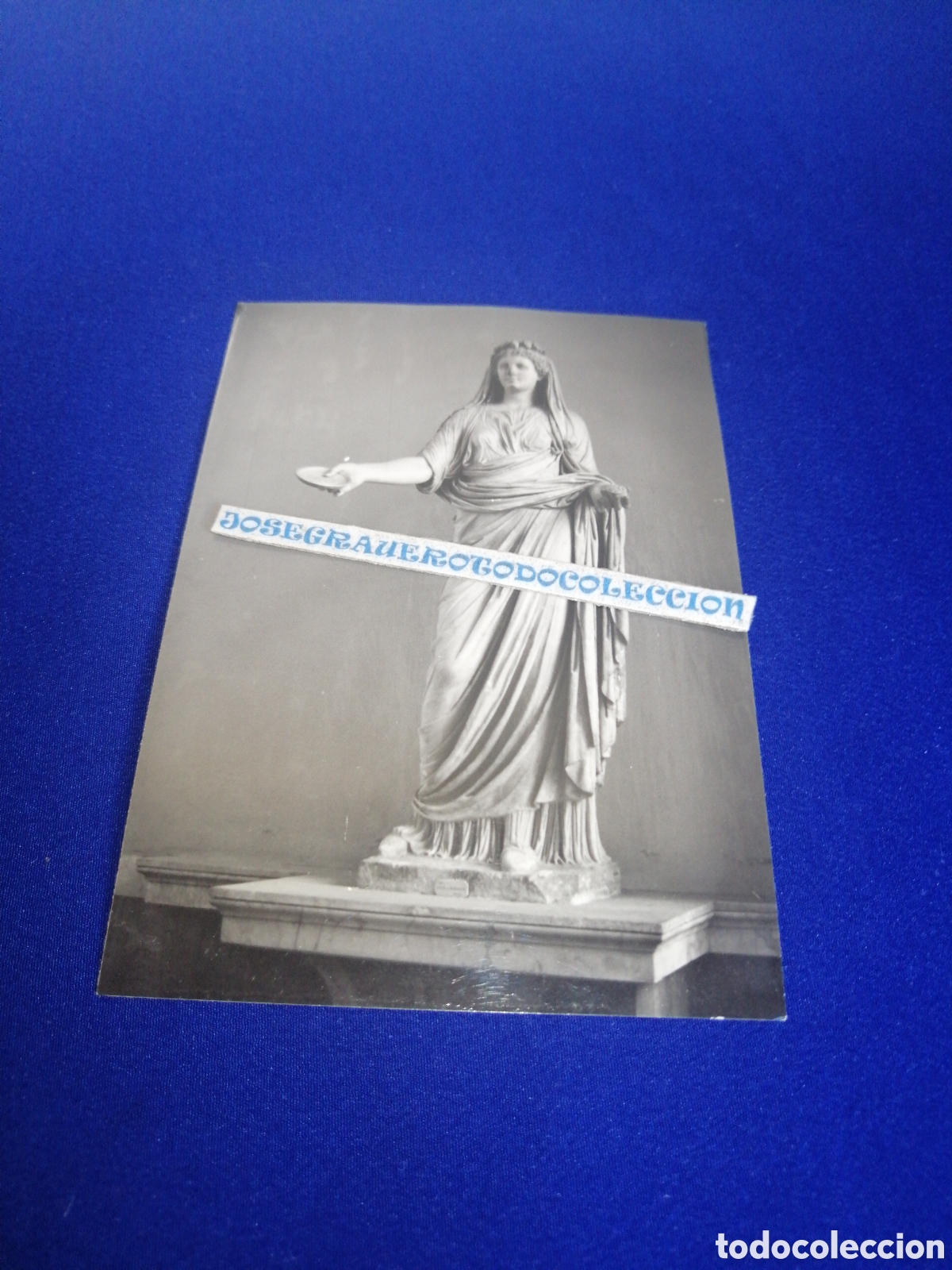 Fotograf&iacute;a antigua: NAPOLES (ITALIA) MUSEO ARQUEOL&Oacute;GICO FOTOGRAF&Iacute;A ANTIGUA SIGLO