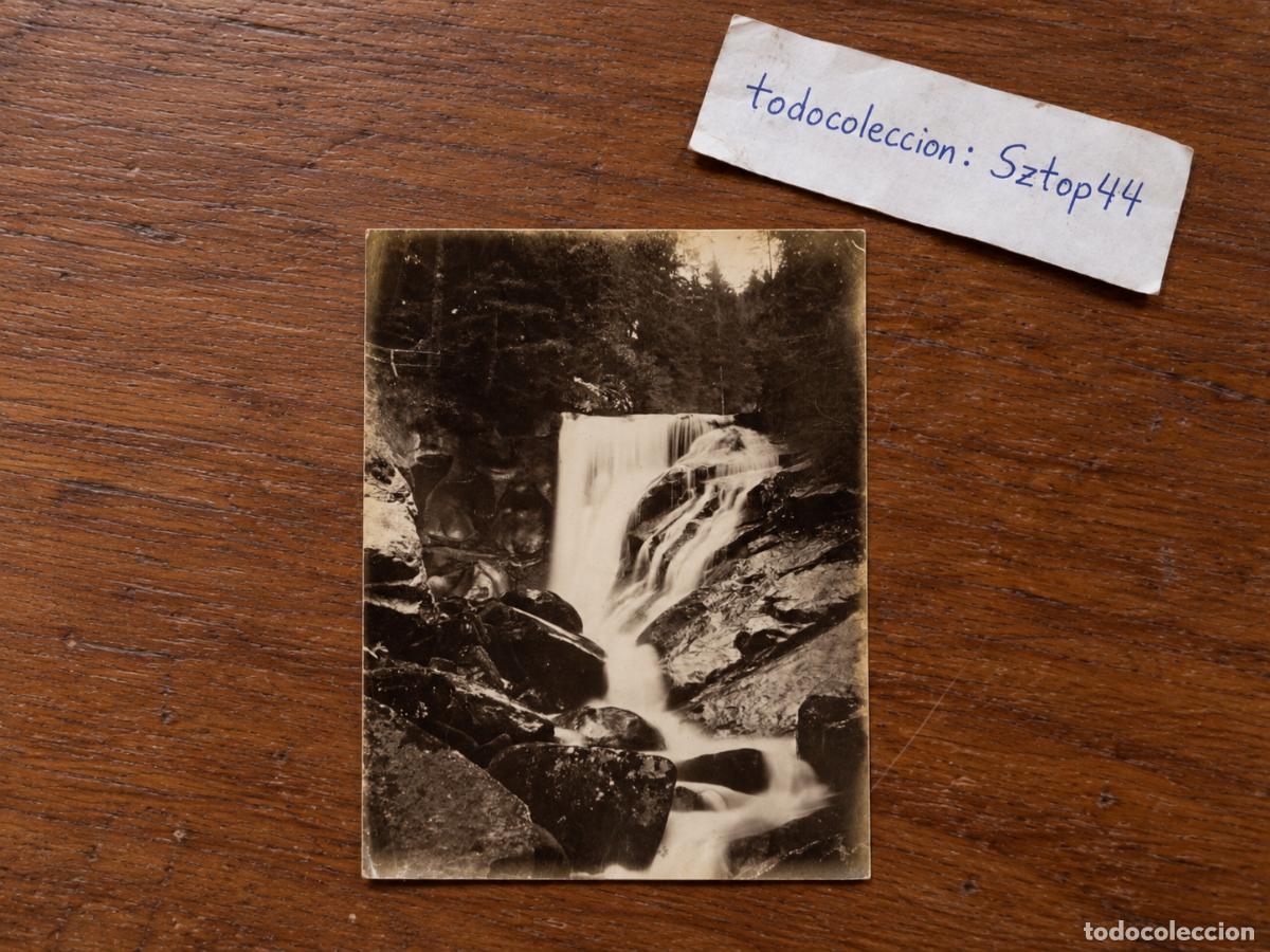 Fotograf&iacute;a antigua: Fotograf&iacute;a Antigua de Paisaje - Cascada en el Bosque con Rocas - Fotograf&iacute;a de &Eacute;poca - C. 1900