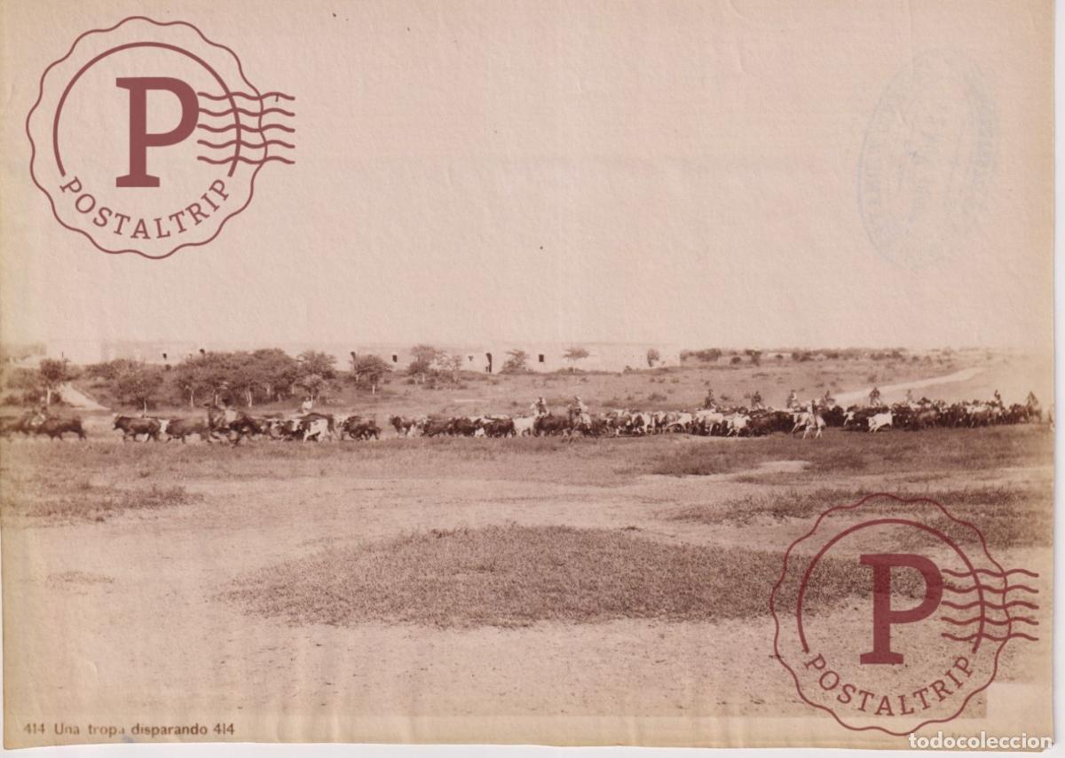 Fotograf&iacute;a antigua: ARGENTINA. UNA TROPA DISPARANDO. FOTOGRAFIA ANTES 1900. EUGENIO WIDMAYER. CORRIENTES 20X14CM ALBUMIN