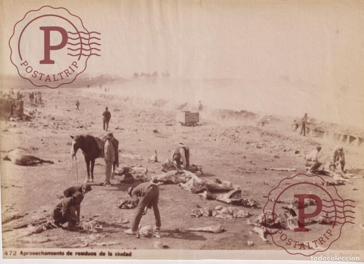 Fotograf&iacute;a antigua: ARGENTINA, FOTO ANTES DE 1900. APROVECHAMIENTO DE RESIDUOS DE LA CIUDAD. HUESOS. SAMUEL RIMATHE 20.5