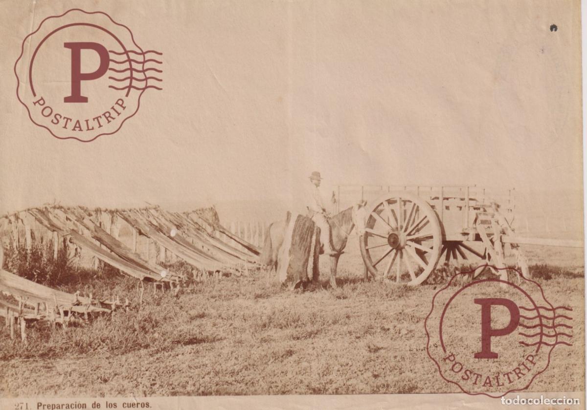 Fotograf&iacute;a antigua: ARGENTINA, FOTO ANTES DE 1900. PREPARACION CUEROS CARRO SAMUEL RIMATHE 20.5X14.5 CM