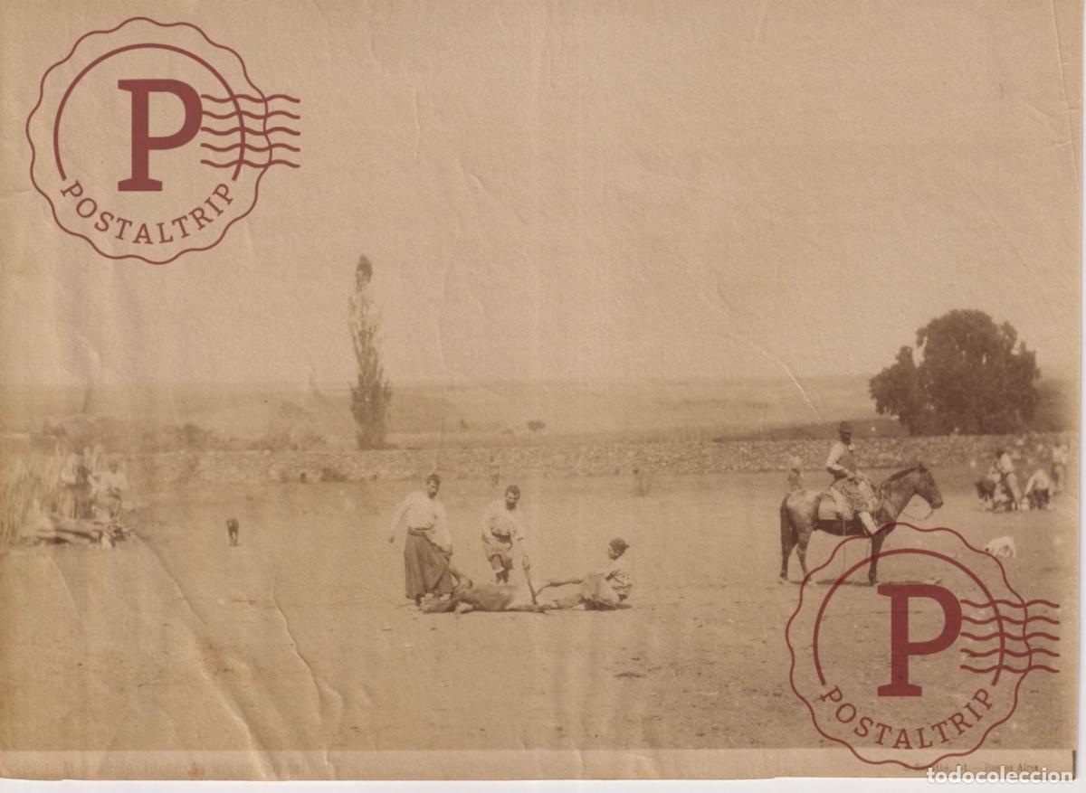 Fotograf&iacute;a antigua: ARGENTINA, FOTO ANTES DE 1900. GAUCHOS TERNERO CORRAL SAMUEL RIMATHE 20X15 CM