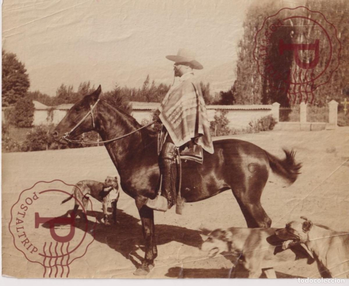 Fotograf&iacute;a antigua: CHILE PAISAJE RURAL HUASO A CABALLO PERROS FOTO ANTES DE 1900 23X18 CM