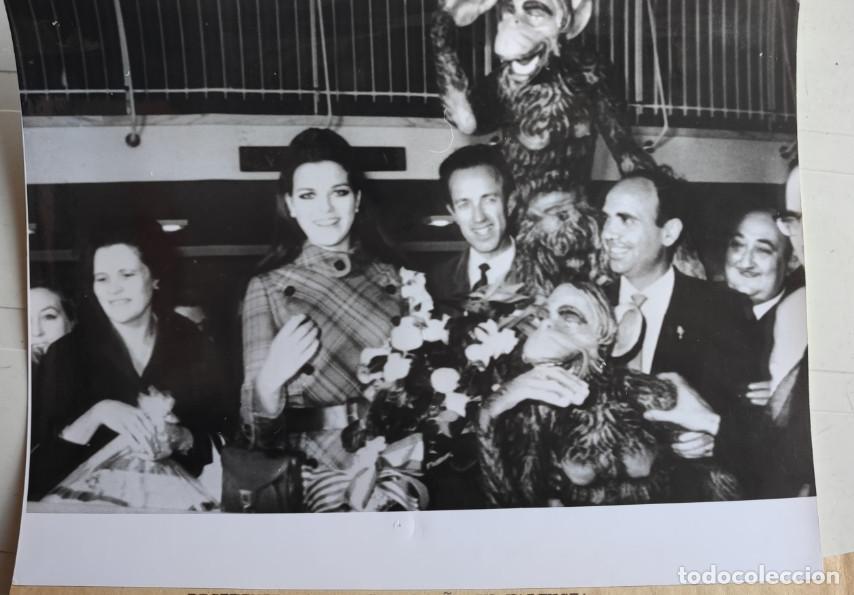 Fotograf&iacute;a antigua: RECIBIMIENTO A MARIA AMPARO RODRIGO MIS ESPA&Ntilde;A EN VALENCIA, 15 NOV. 1968, FOTOGRAFIA, 20,5 X 15,5 CM